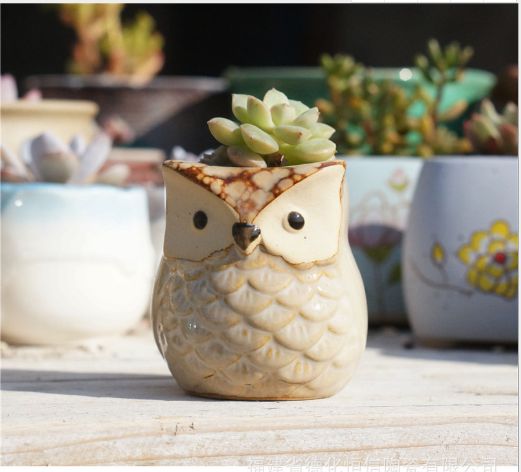 多肉花盆园艺陶瓷迷你小新品创意粗陶复古家居新品瓷罐子盆器1#详情5