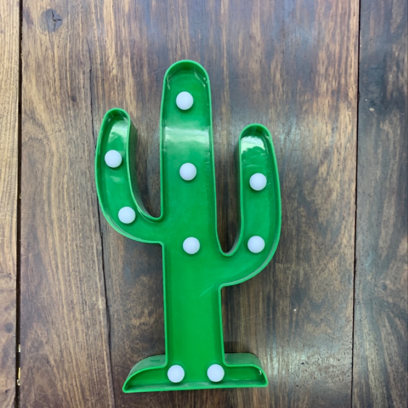 Cactus with light thumbnail