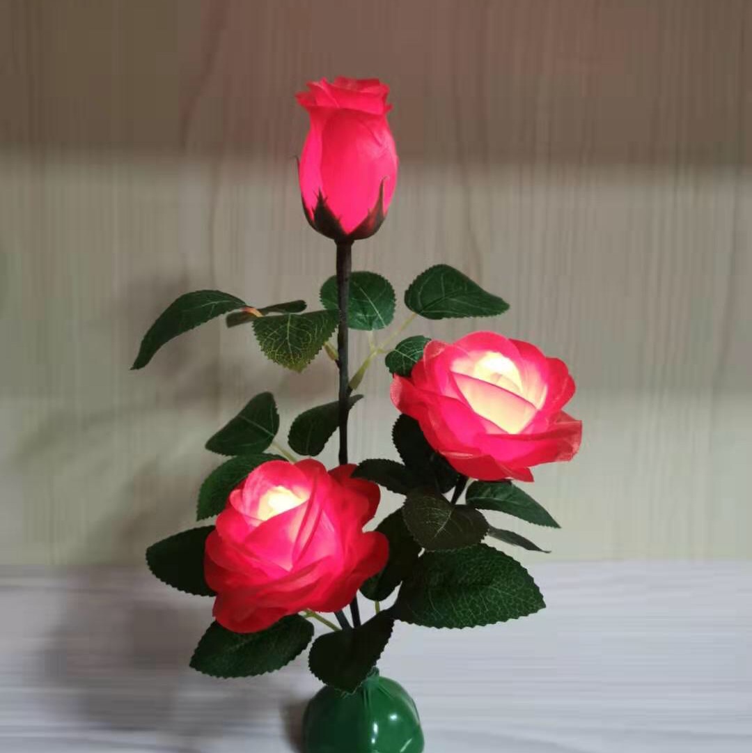 DF2020-3 roses thumbnail