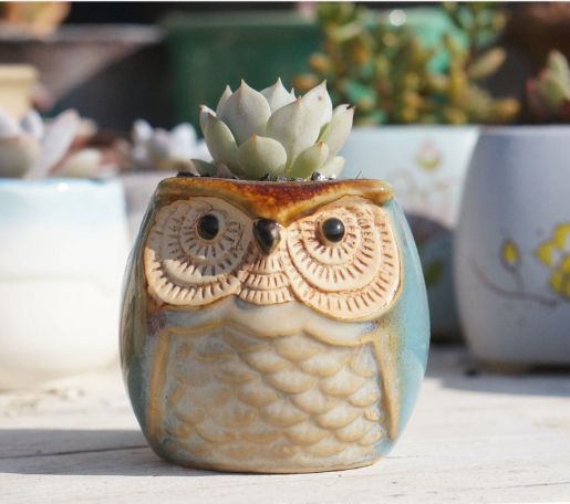 多肉花盆园艺陶瓷迷你小新品创意粗陶复古家居新品瓷罐子盆器1#详情4