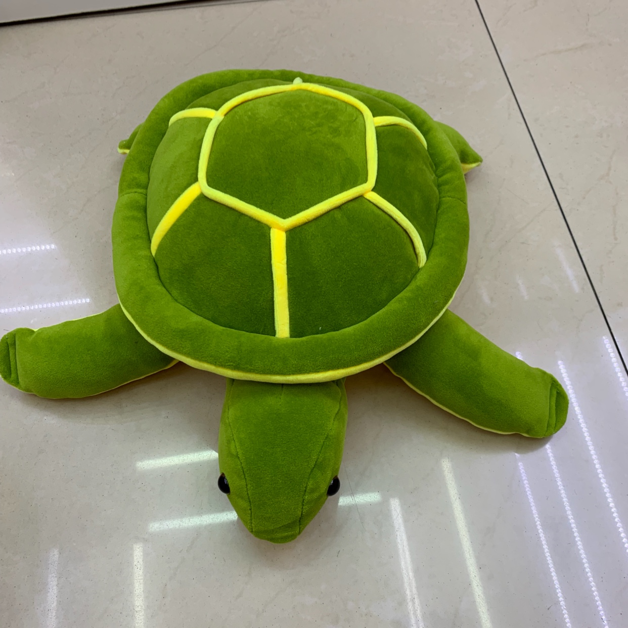 海龟