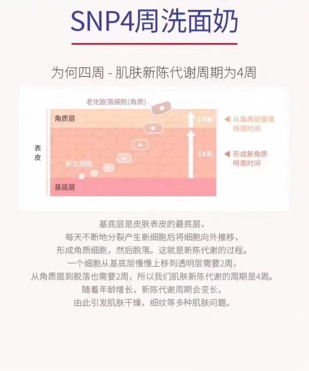 Snp Four-Week Cleanser A Box Of 4, 1 30G, While Rich In Several Star Ingredients Item Picture