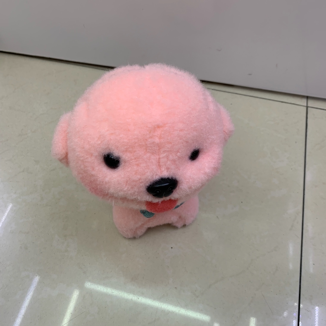 The dog thumbnail