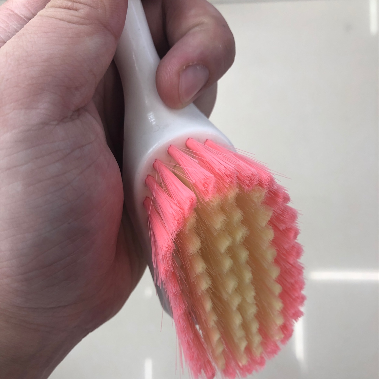 清洁刷、钢丝球实物图