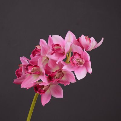 Yiwu Selection factory direct selling white hand simulation East Asia orchid simulation living room tea table decoration simulation flower details Picture