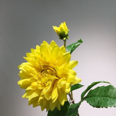 Yiwu Selection high - grade export simulation flower fake flower wholesale yellow hand simulation Dahlia table flower chrysanthemum details Picture