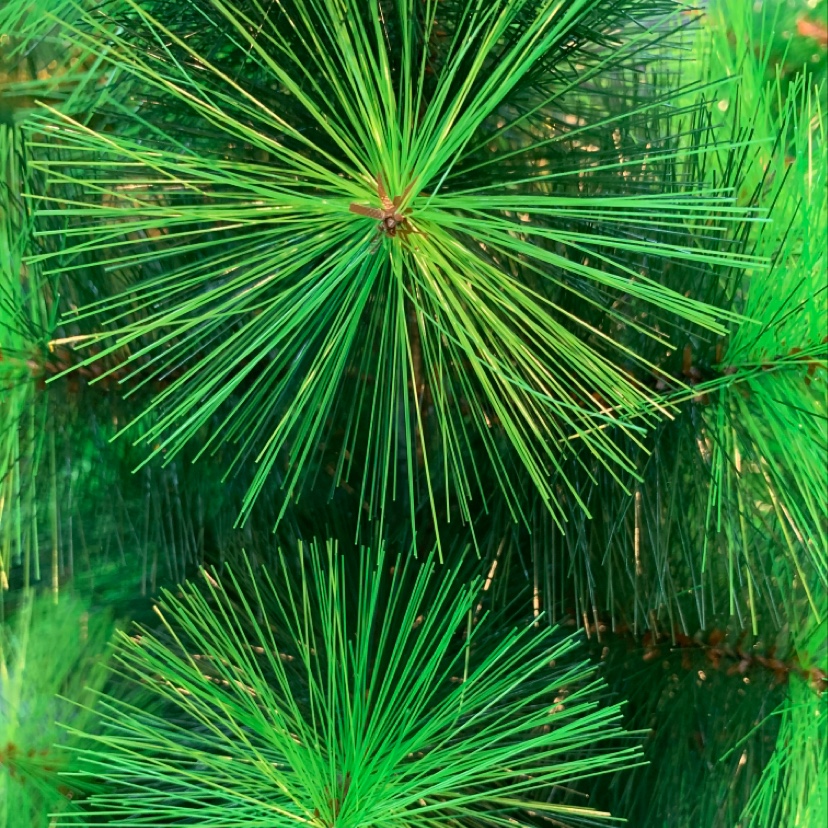 40 cm pine needle garland Specification drawing
