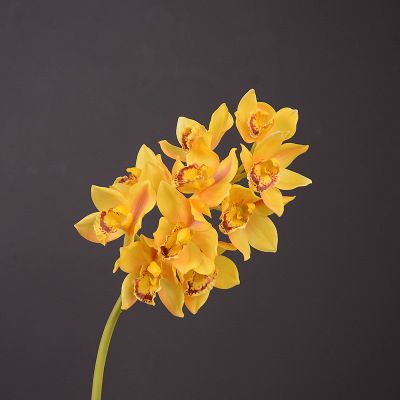Yiwu Selection factory direct selling white hand simulation East Asia orchid simulation living room tea table decoration simulation flower Specification drawing