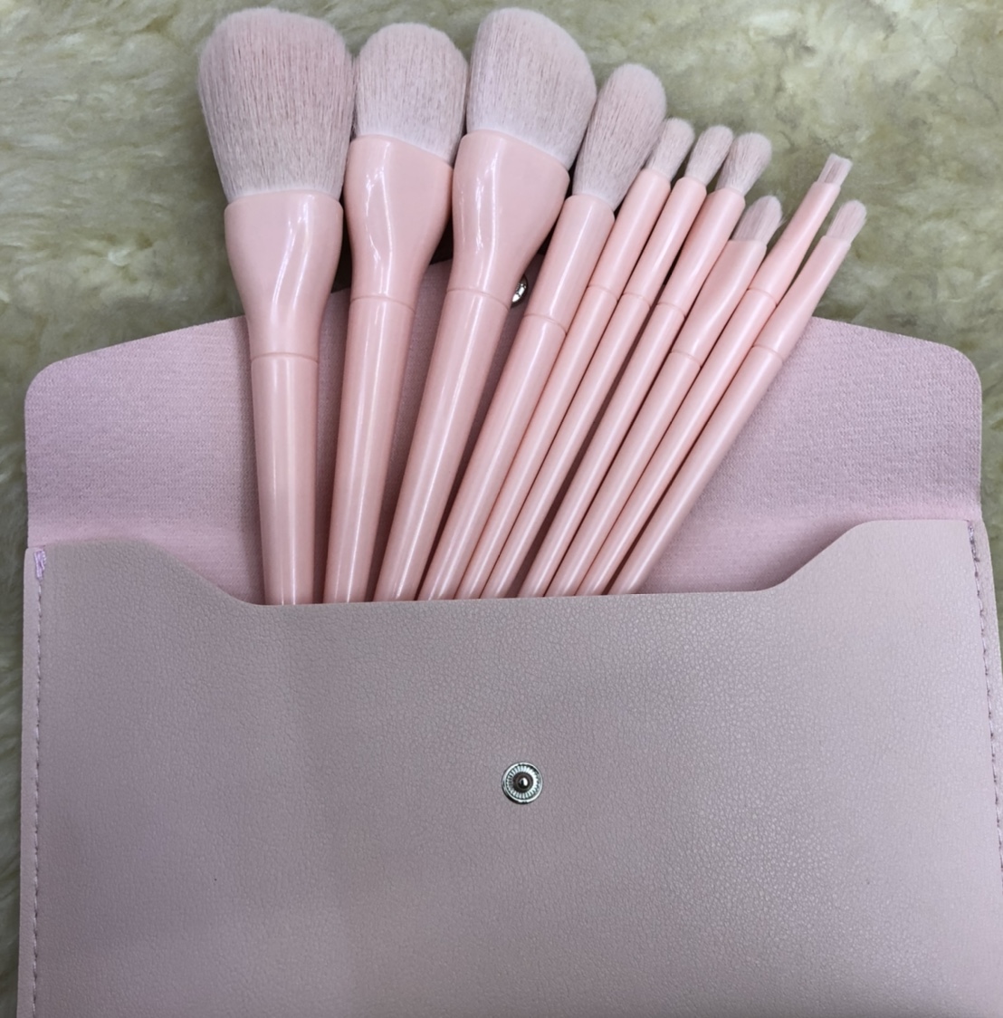 10 makeup brushes + bag light pink