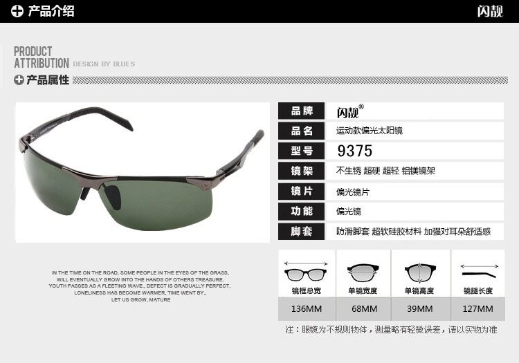 Web celebrity same polarised sunglasses