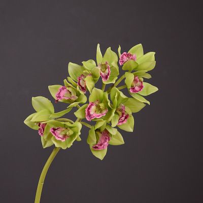 Yiwu Selection factory direct selling white hand simulation East Asia orchid simulation living room tea table decoration simulation flower full figure