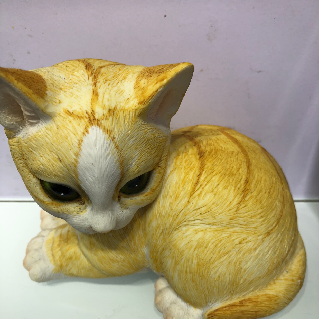 黄猫