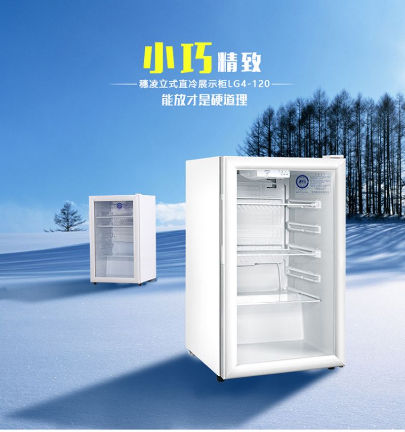 穗凌冰箱LG4-120\无灯箱单温直冷冰箱 立式展示柜 冰箱