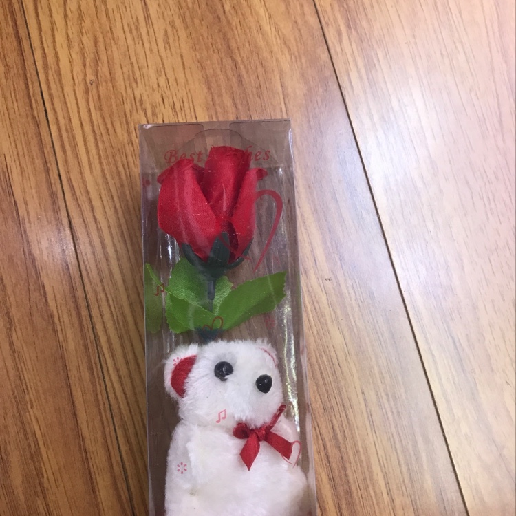 毛绒熊