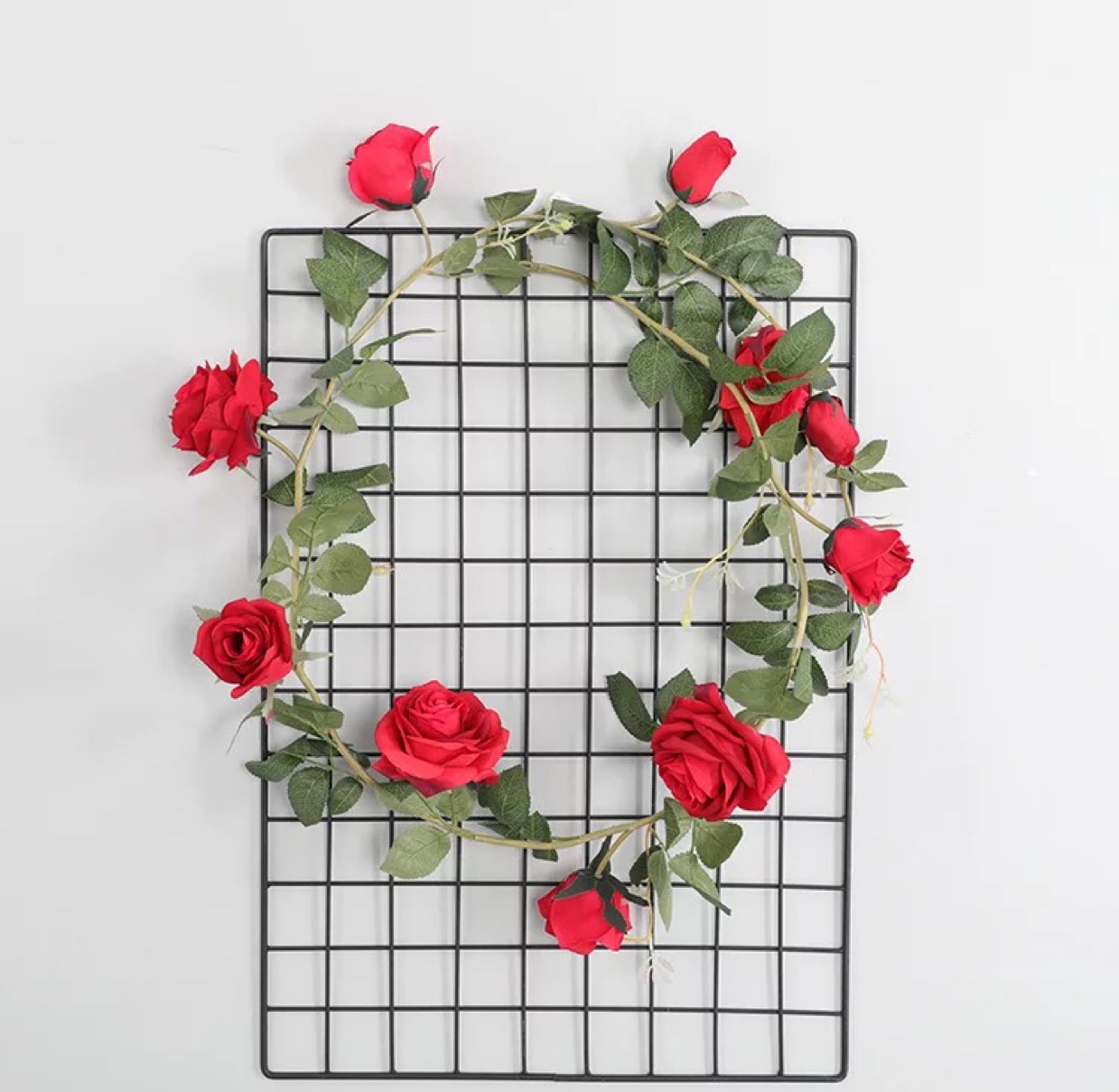 Australian rose vine thumbnail
