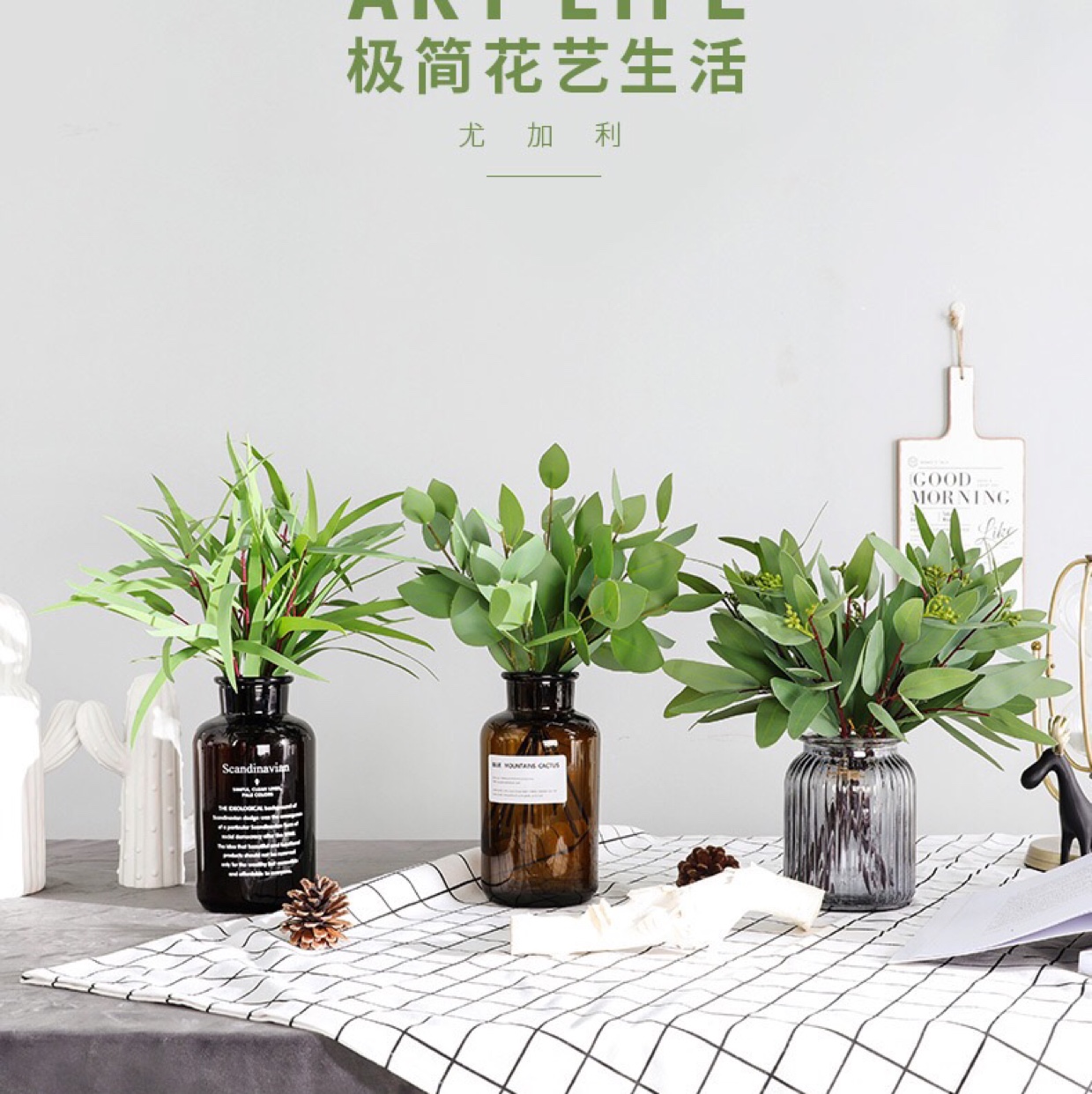 Zantedeschia eucalyptus, 1 bundle 8 thumbnail