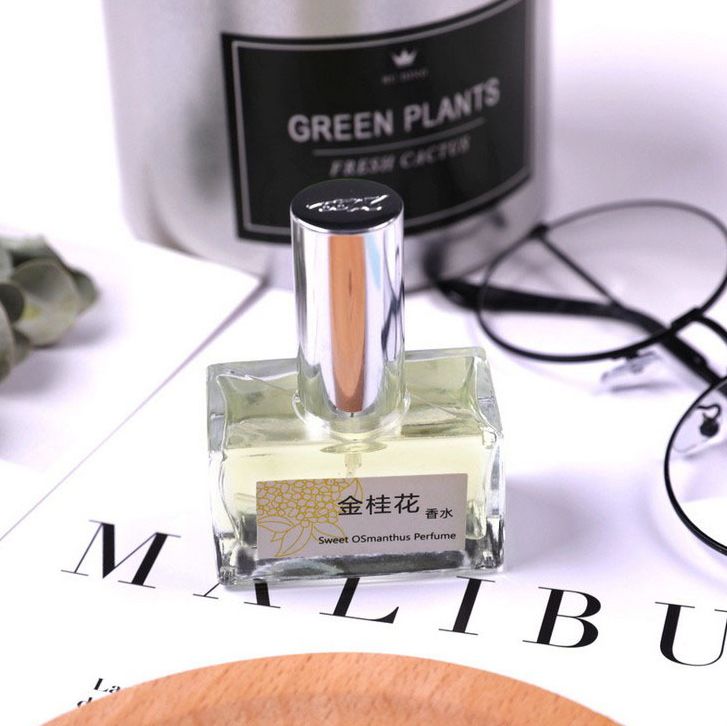 Fragrances of cinnamomum fragrances are fresh and elegant