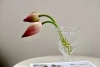 441 series crystal glass vase hydroponic Specification image