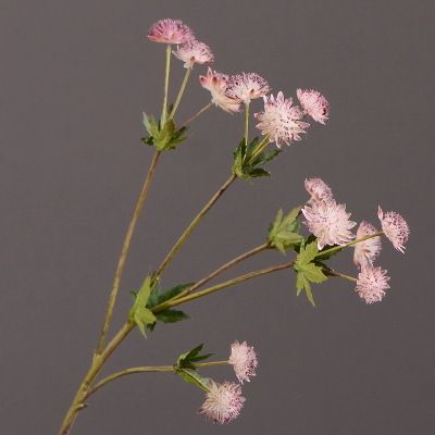Yiwu Selection Nordic Ins fake flowers dandelion simulation living room decorative flowers small furnishing vase flower arrangement Application Scenario