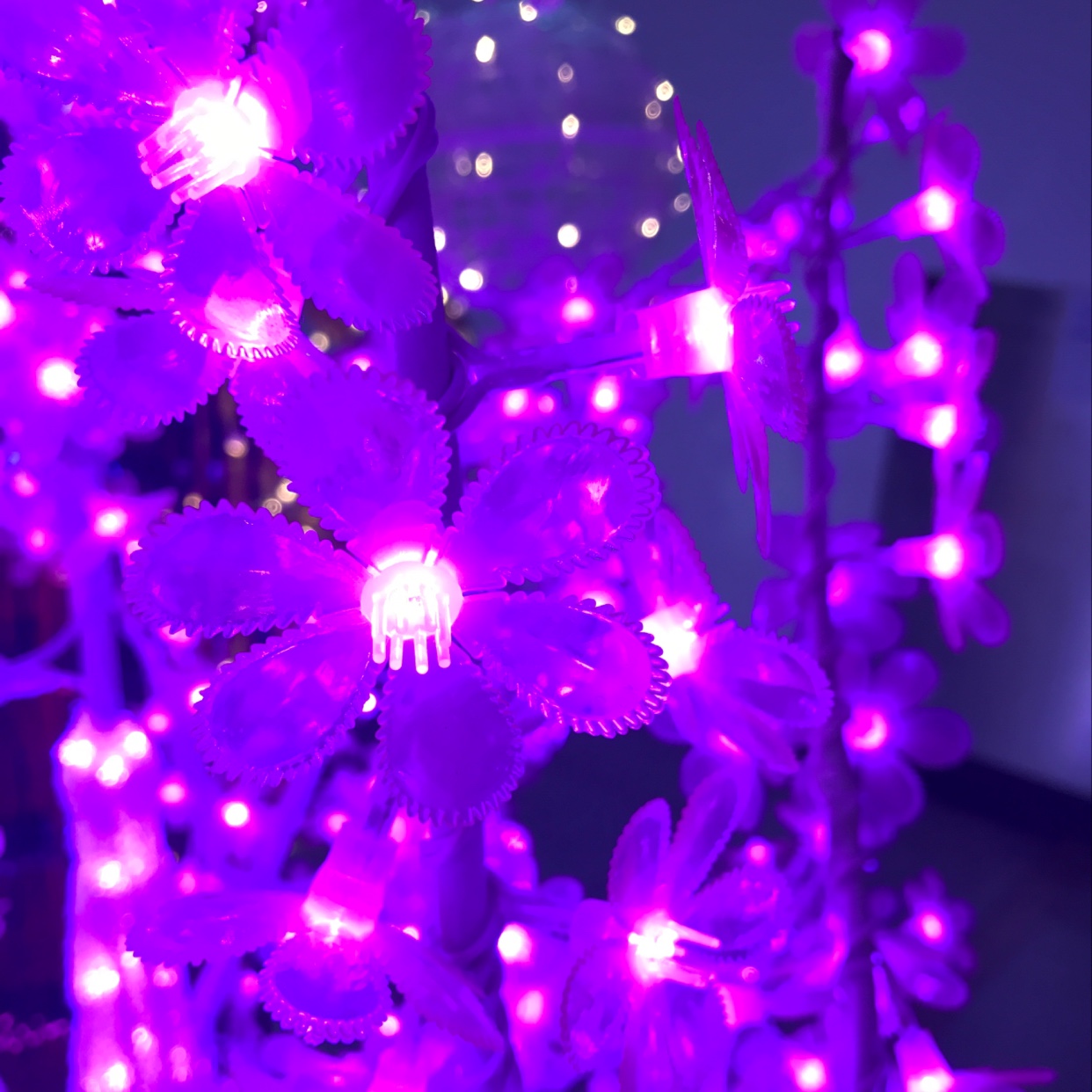 Crystal Tree Application Scenario