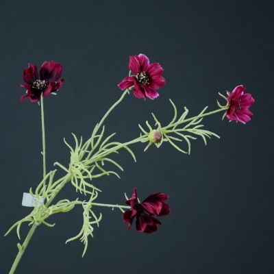 Yiwu Selection white Coreopsis simulated flowers small chrysanthemums small fresh American garden living room table flowers Specification drawing