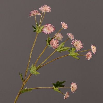 Yiwu Selection Nordic Ins fake flowers dandelion simulation living room decorative flowers small furnishing vase flower arrangement undefined