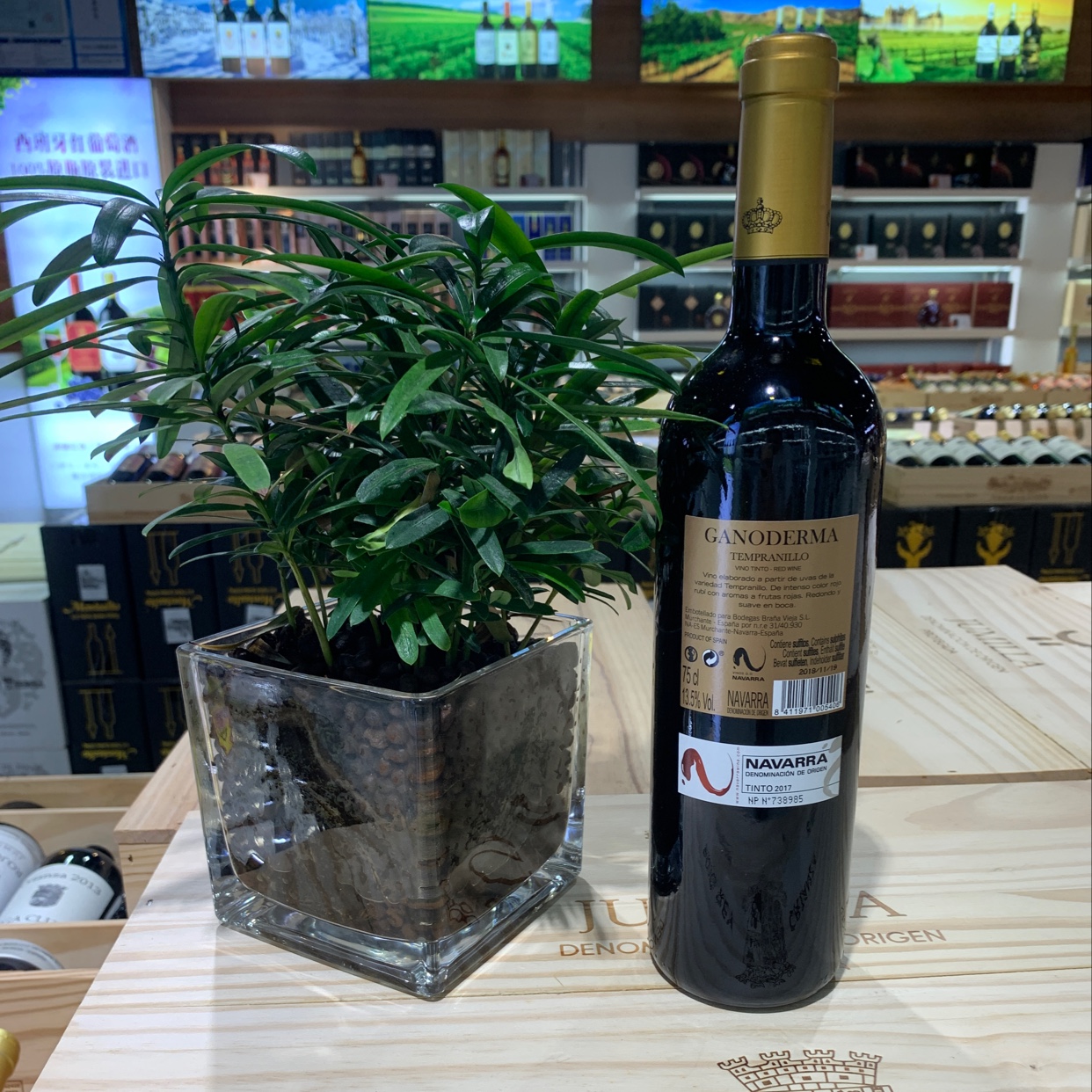 灵芝金标产品图