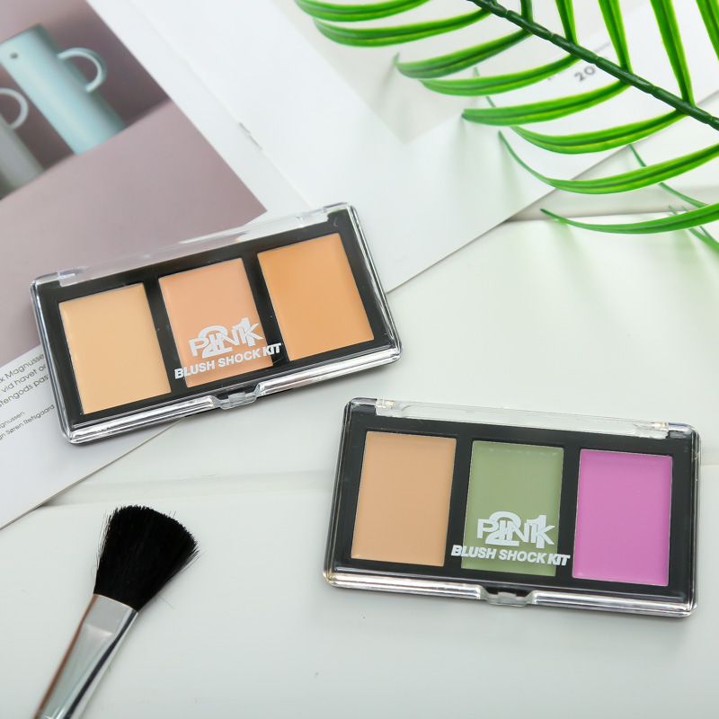 West Zhixi xi-zzi three-color Prevent sai Tan concealer repair and brightening nourishing foundation cream studio dedicated makeup wholesale