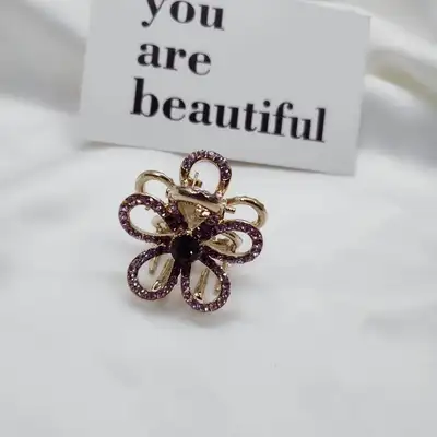 Hair Clip Top Clip Bangs Back Of Head Hair Clip Delicate Small Clip Women's Headpiece Top Small Clip Clip