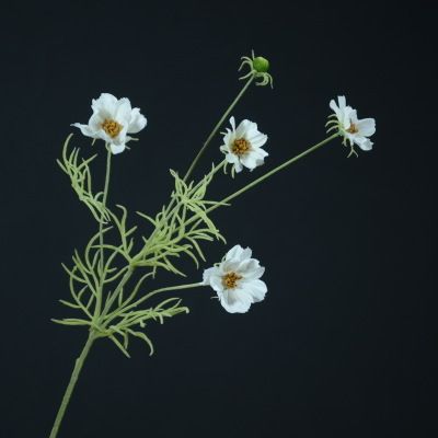 Yiwu Selection white Coreopsis simulated flowers small chrysanthemums small fresh American garden living room table flowers Application Scenario