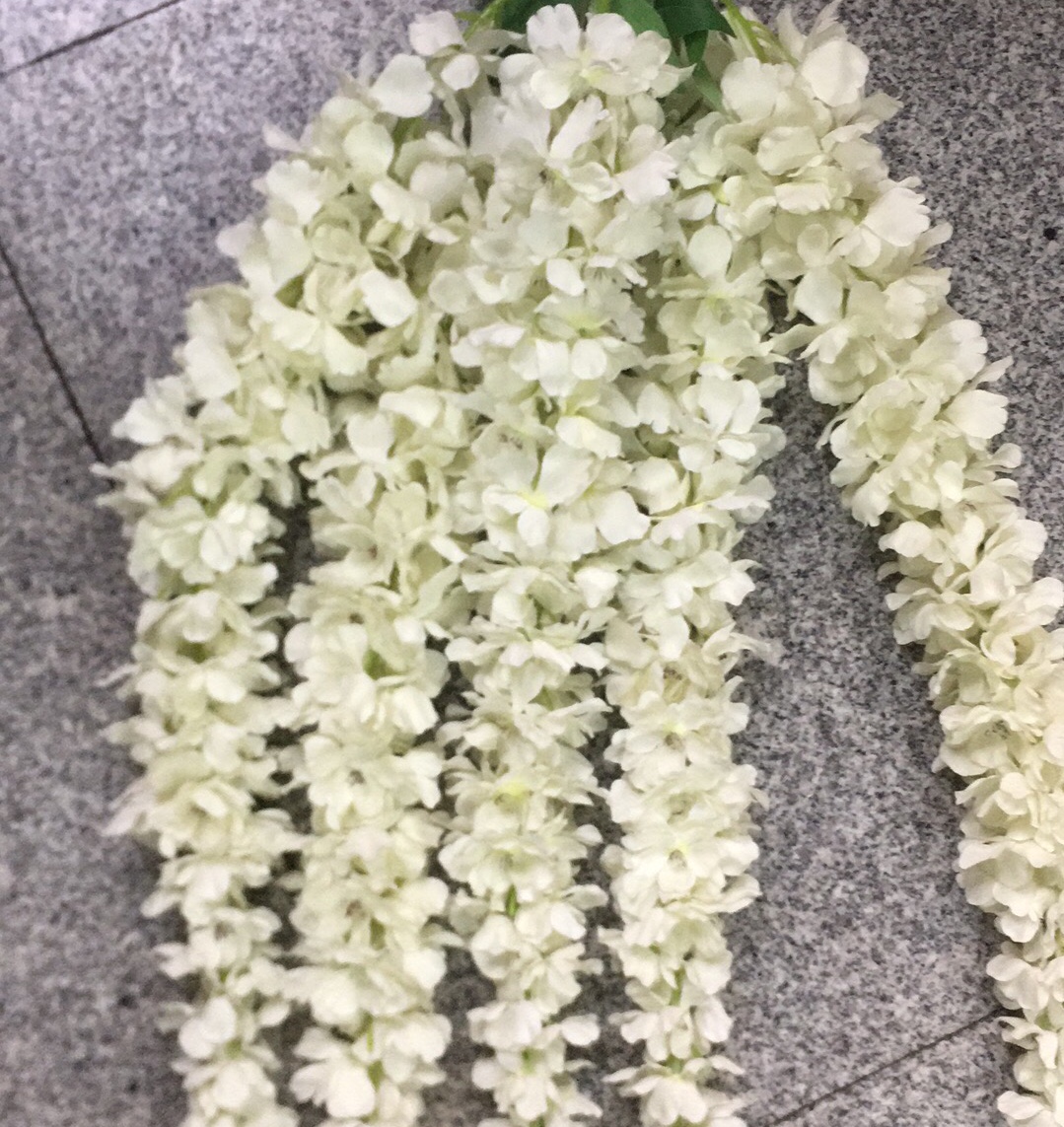 凤尾