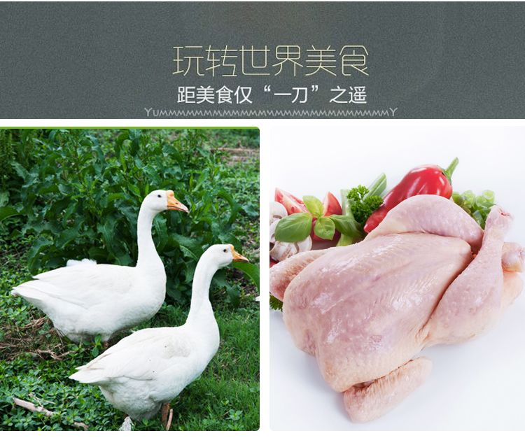 Stainless steel three-bird hair removal machine for poultry, chickens, ducks and geese, stainless steel automatic hair removal machine pic 5