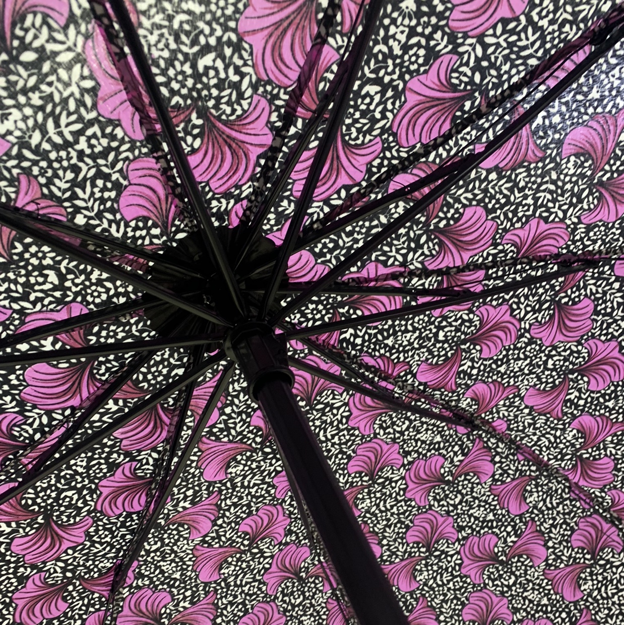 70*10K三折外翻牵牛花碰击布手开晴雨伞白底实物图