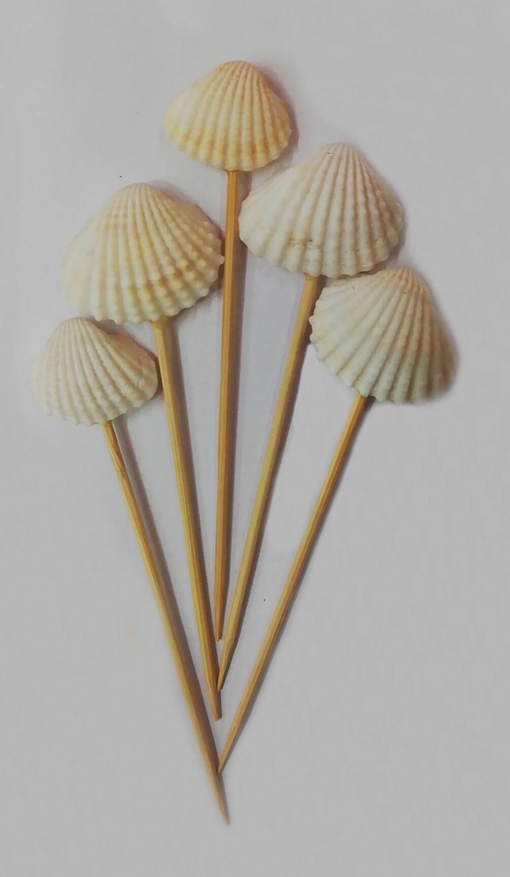竹签 一次性烧烤竹签 竹质制水果签 厂家直销白底实物图