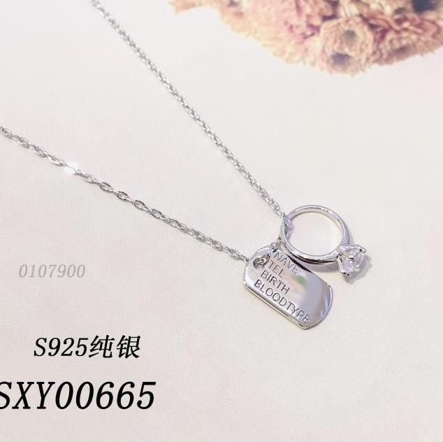 s925 full body sterling silver necklace