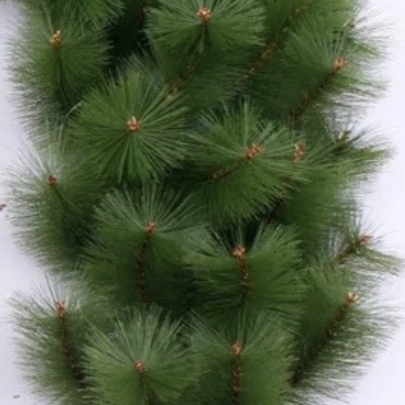Yiyang Christmas Craft: 100 pieces of 2.7-meter-long pine needle rattan details Picture