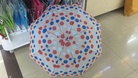 透明圆点雨伞，儿童雨伞宝宝雨具幼儿园可爱小孩小学生男童女童全自动