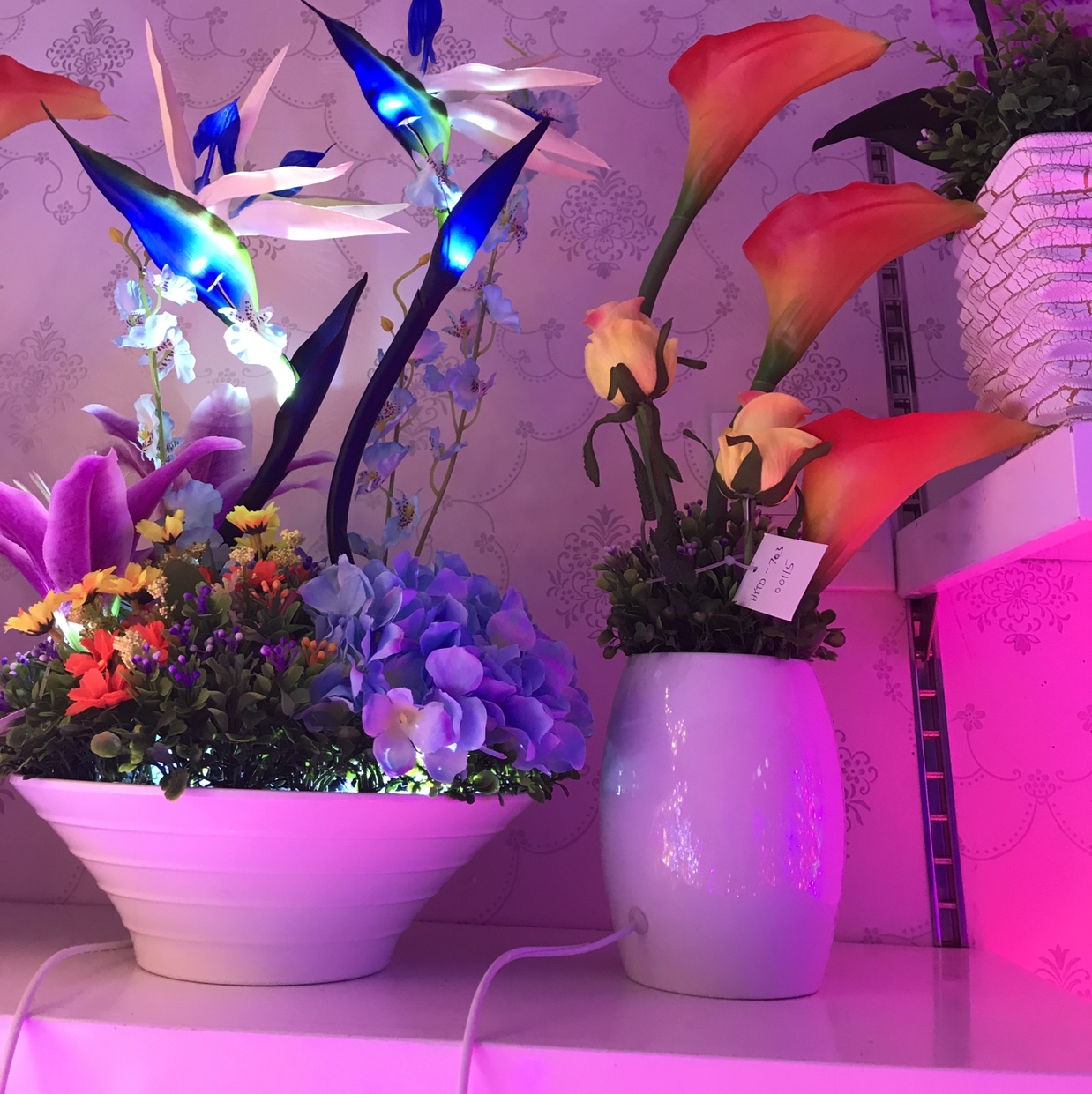 天堂鸟空气净化灯