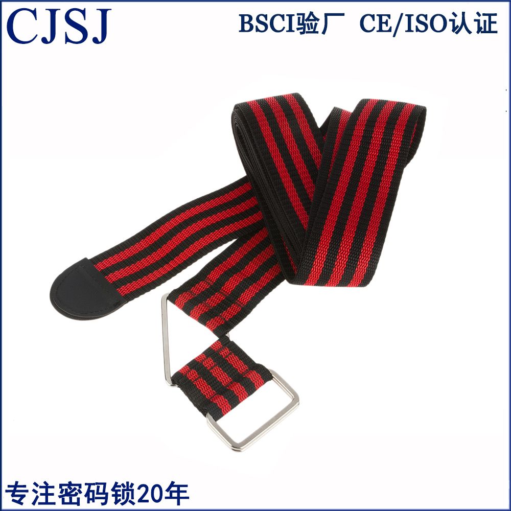 The luggage strap is CH-18E detail image 2