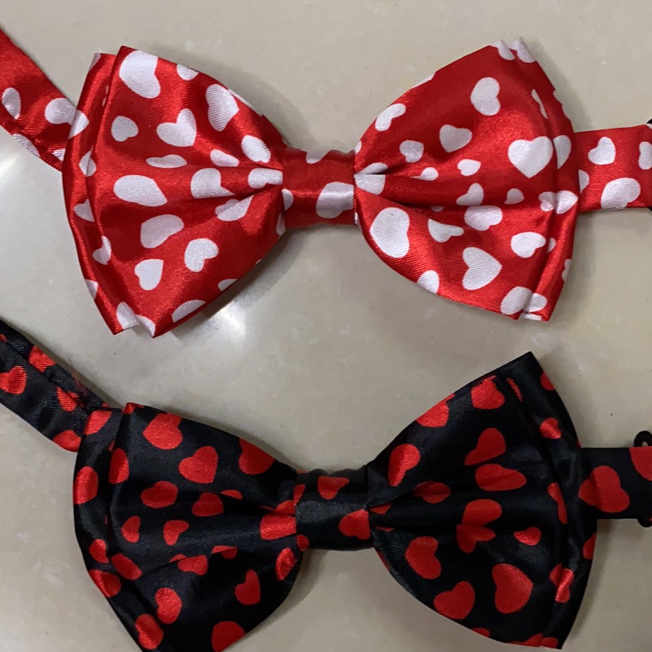Tie and bow tie