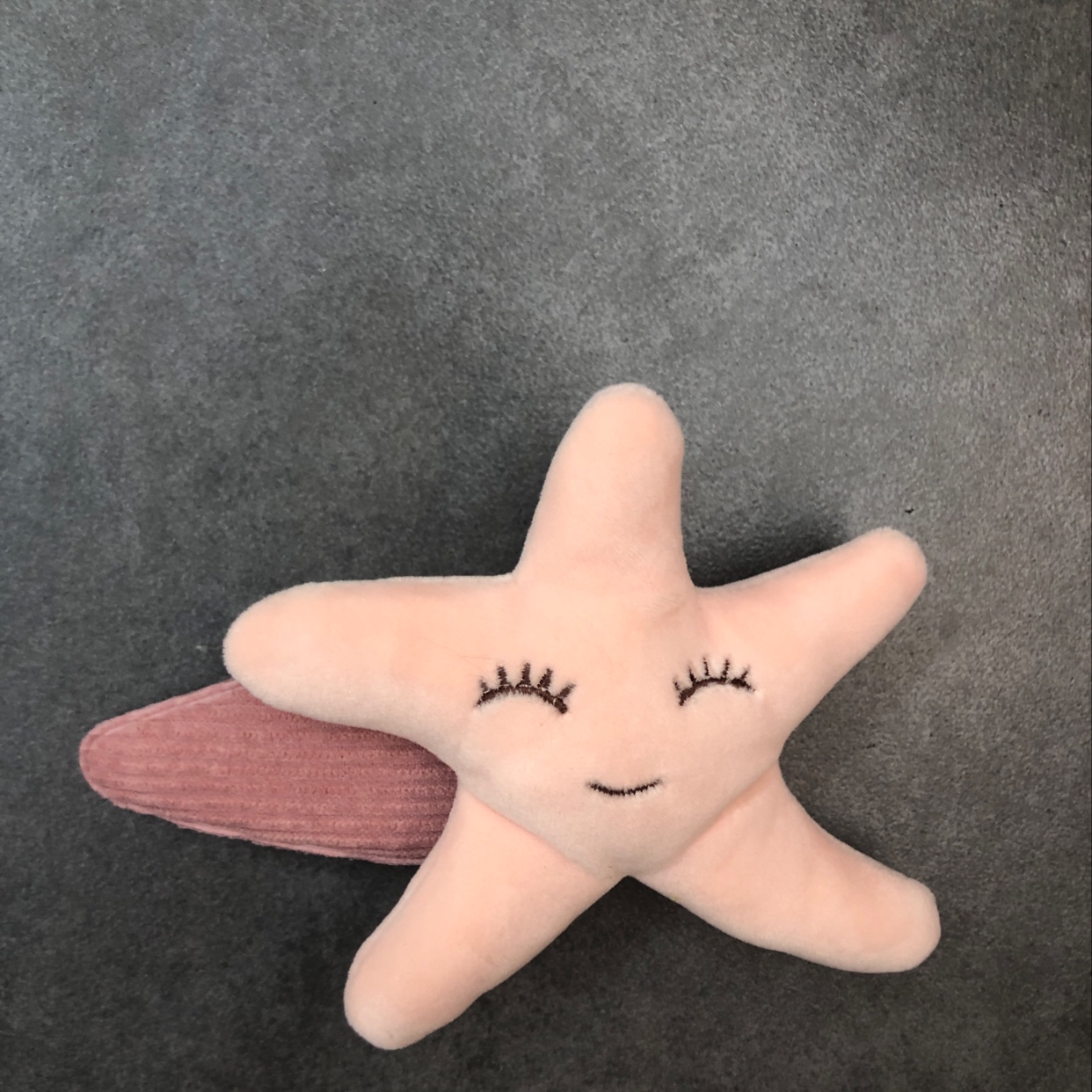 Sea star PP folder thumbnail