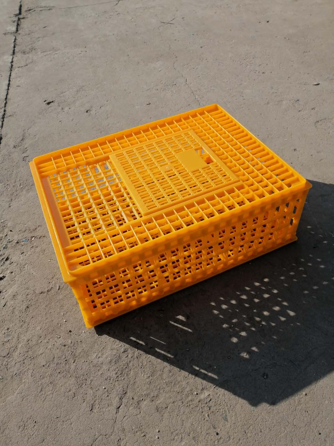 鸡笼产品图