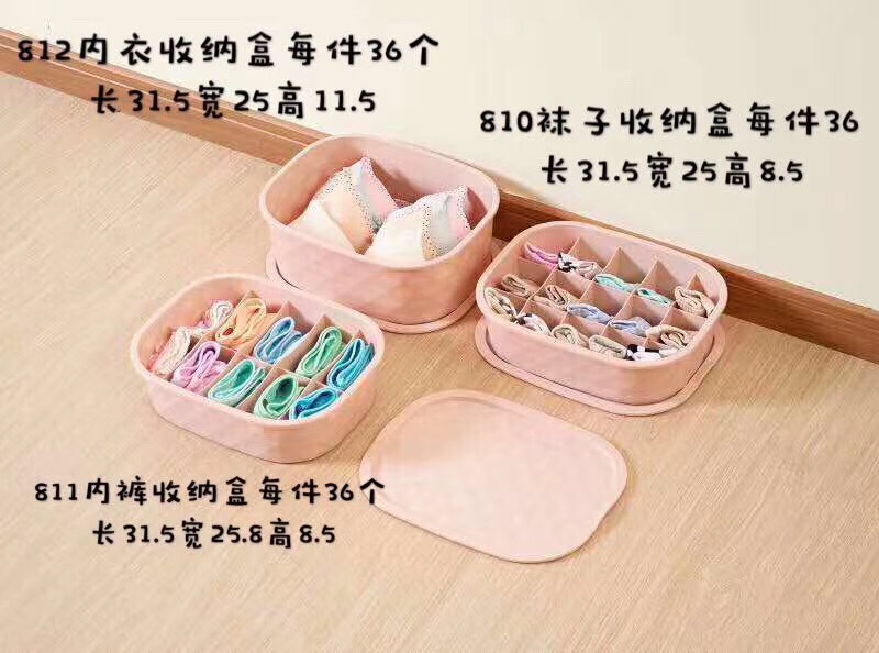 Underwear and shorts storage boxes thumbnail