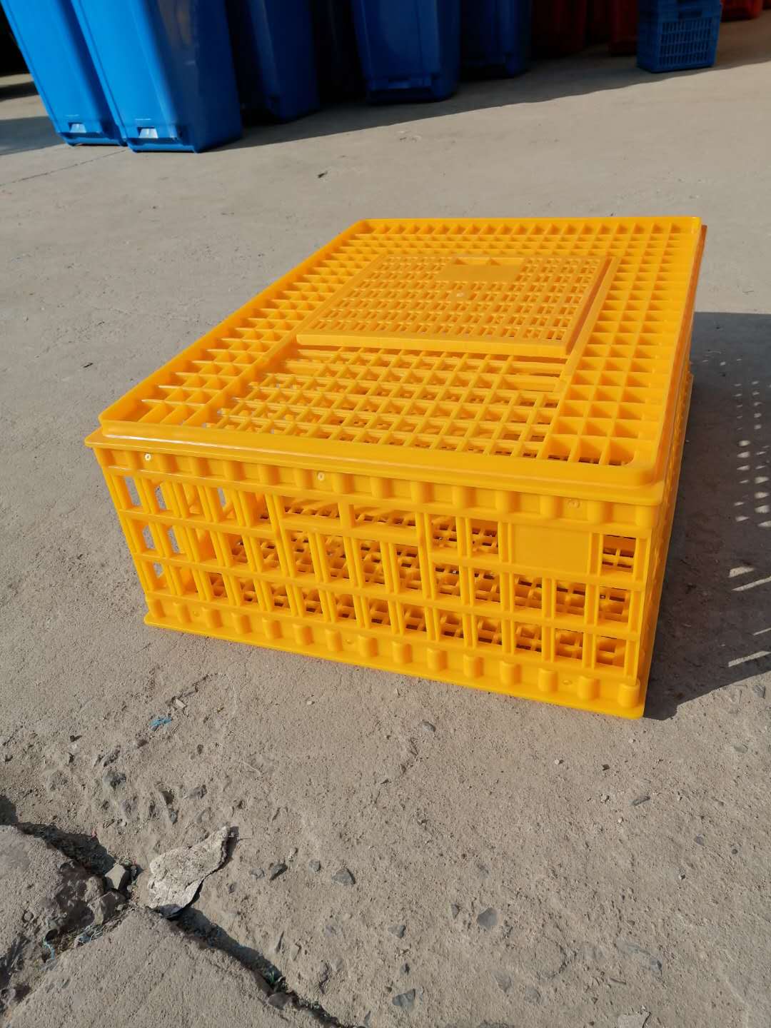 Plastic chicken cage thickened chicken cage turnover basket household chicken breeding cage Egg cage duck goose cage
