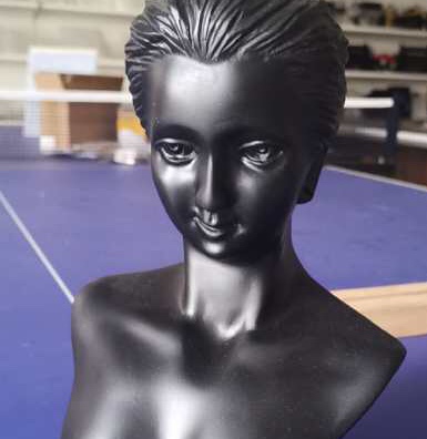 The black resin beauty's portrait