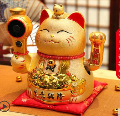 South Thai rocking cat kitties