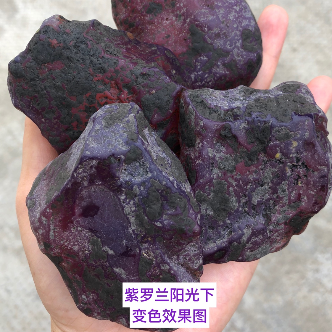 紫罗兰变色珀琥珀原石随形莹光浮盐水松香味
