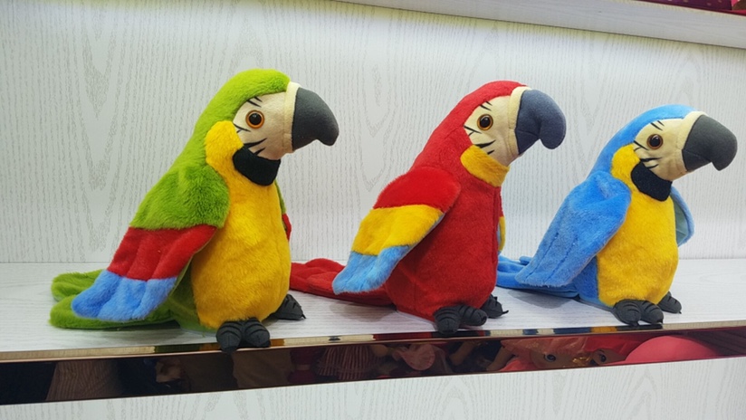 鹦鹉