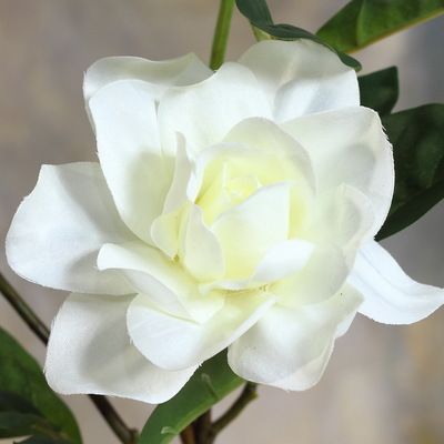 Yiwu Selection gardenia simulation flower Item Picture
