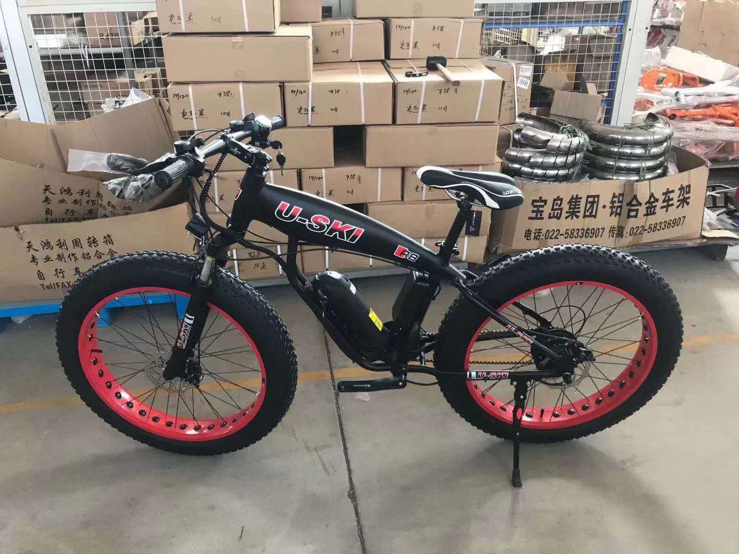 ELECTRIC BICYCLE